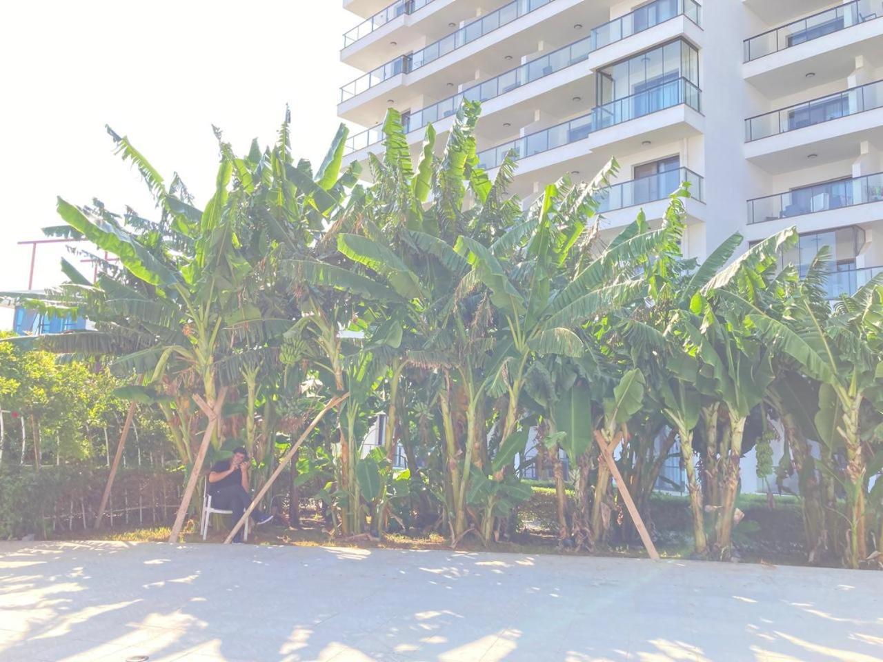 Azure Seaview In Priscilla, Caesar Blue & Spa, Gastria, Kalechik, Bogaz Apartament *